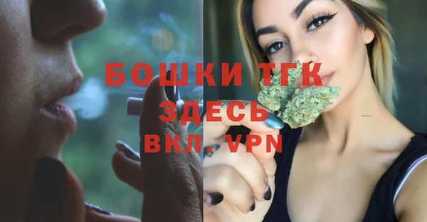 spice Михайлов